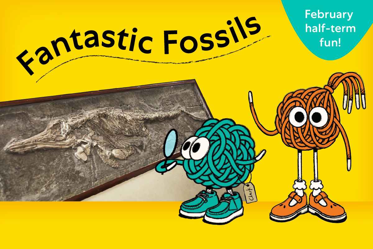Fantastic fossils February half term activities